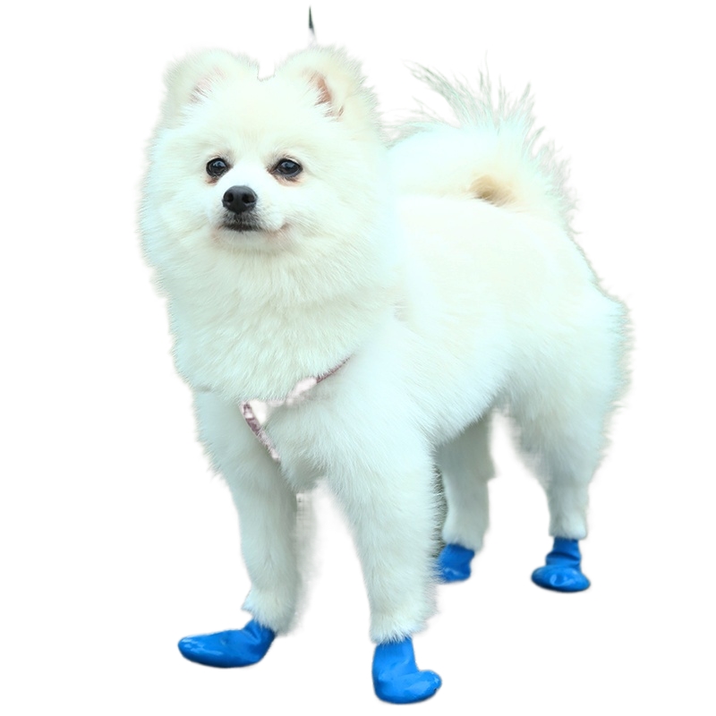 Dog shoes waterproof anti-fall rain shoes balloon shoes footwear suitable for small, medium and large dogs