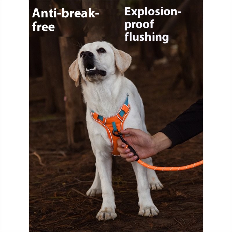 Dog hand holding rope vest-style chest strap outing strap dog harness small large dog Labrador dog leash