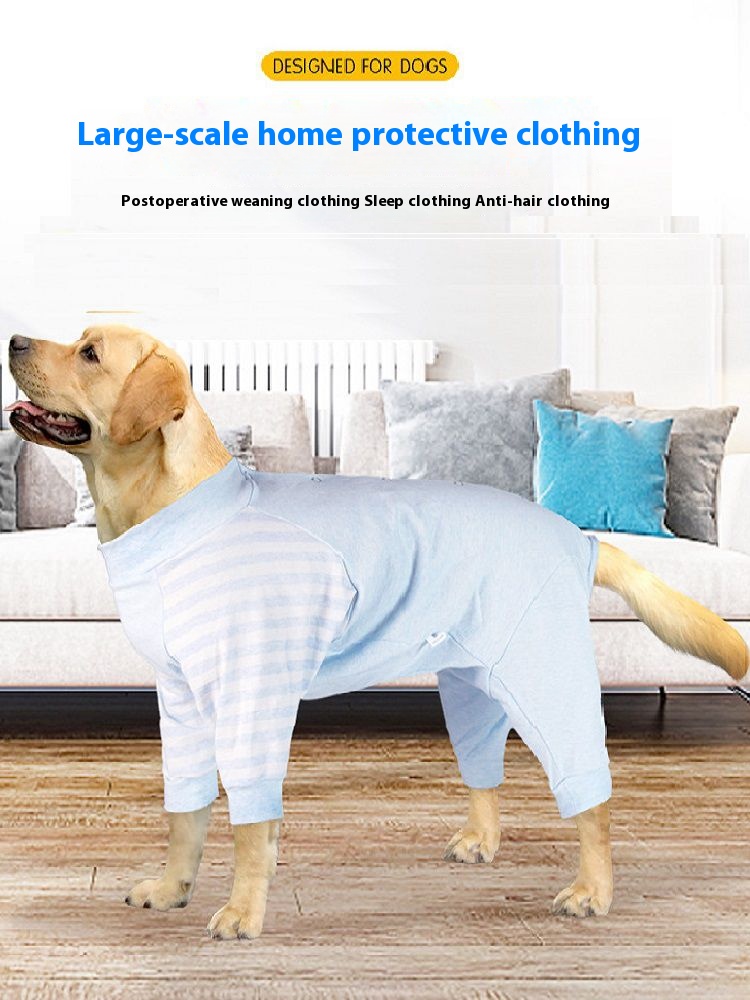 Large dog wearing Lovinpet blue high elastic pajamas with striped sleeves, designed for postoperative recovery, weaning, sleep, and anti-hair purposes.