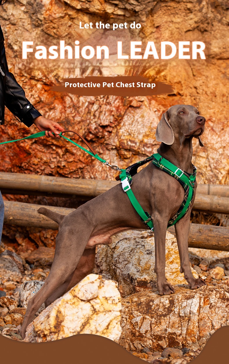 i2aWi/+syNQCDNrwBMfKHA9FqmPUYg+DOxBx