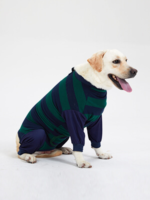 dog recovery suit after surgery onesie for dogs