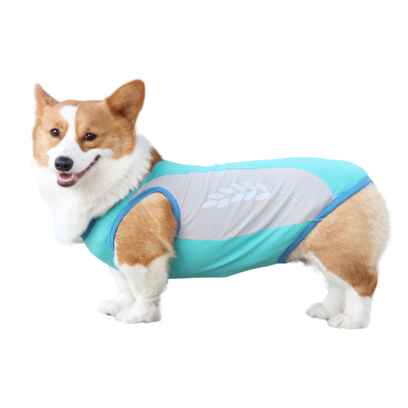 Best Cooling Jacket for Dogs | Ice Vest Reflective Safety