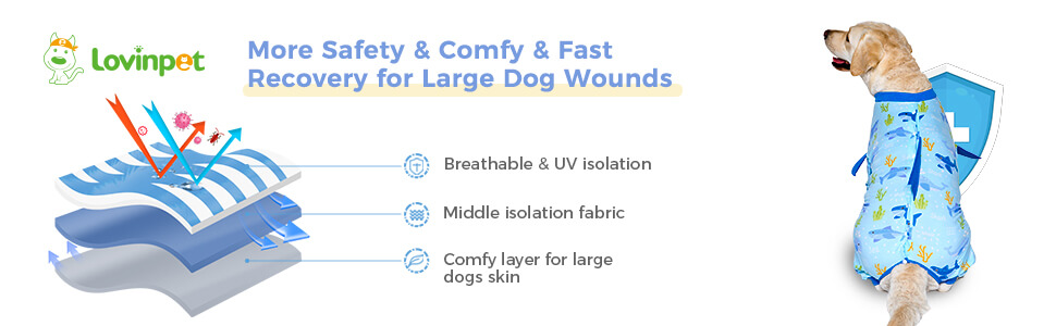 dog recovery suit onesie for dogs after surgery