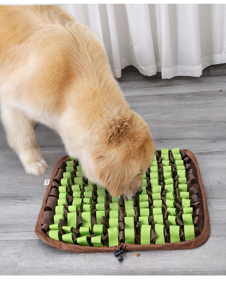 PD50105鍗囩骇鍔犲瘑鑰愬挰鐙楃嫍鍡呴椈纰梍09