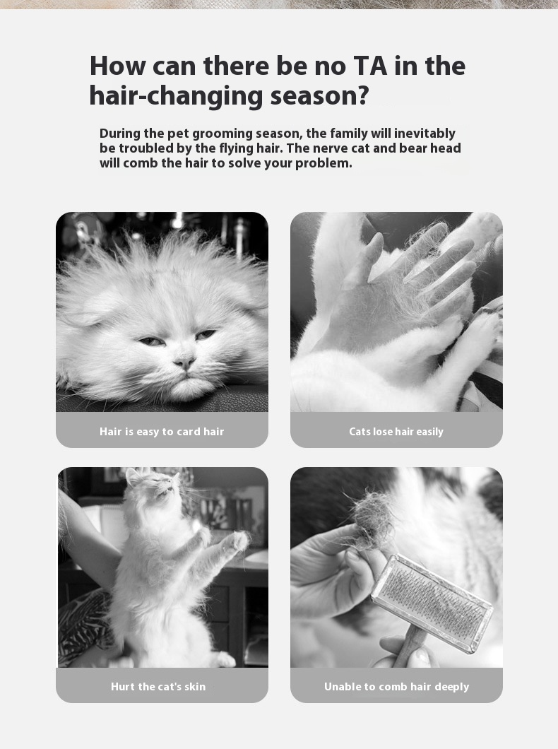 璇︽儏鍥剧墖_02