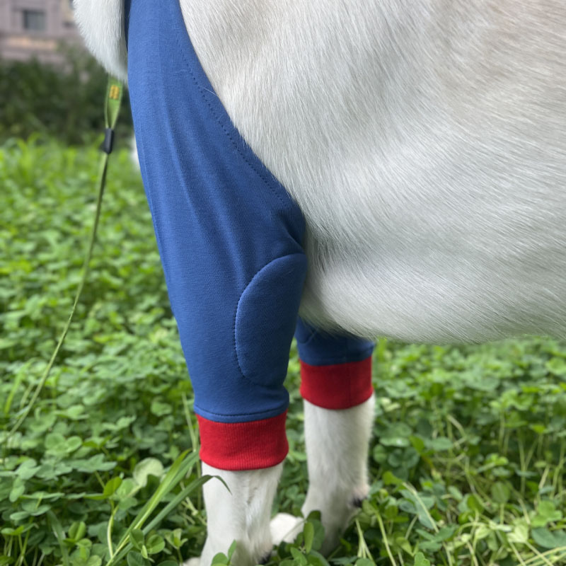Pet knee pads large dog elbow pads leg knee pads supplies dog elbow pads joint protective cover Labrador