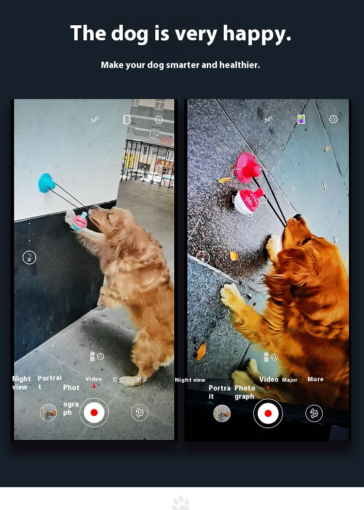 鍚哥洏鎷夊姏鐙楃帺鍏疯鎯卂05