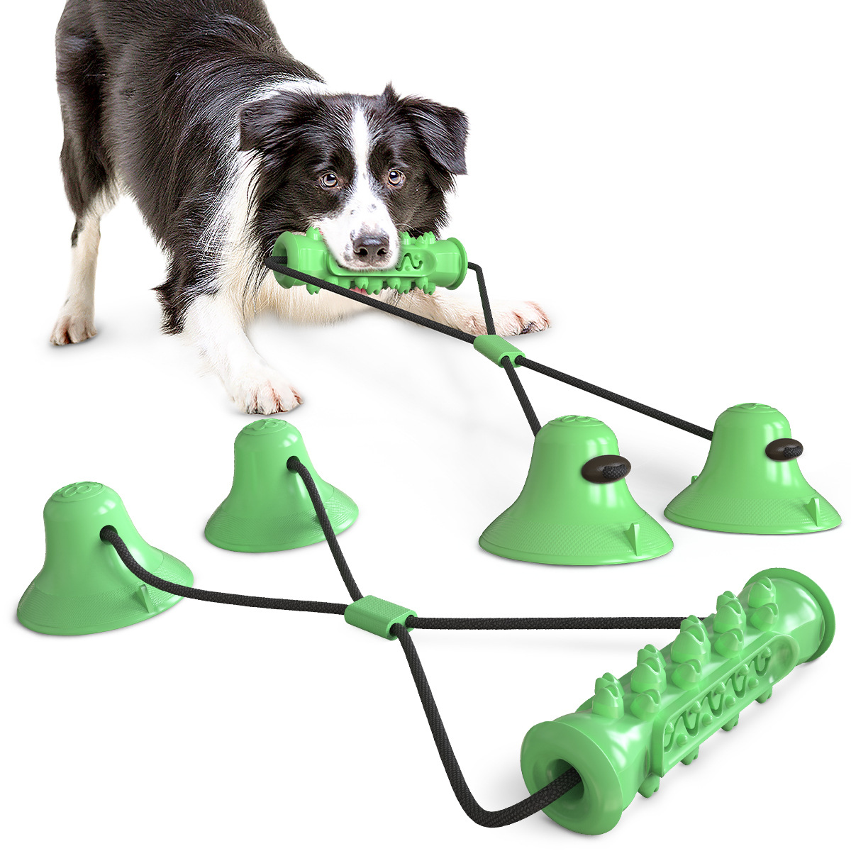 Molar Rod food dropping ball sucker dog toys