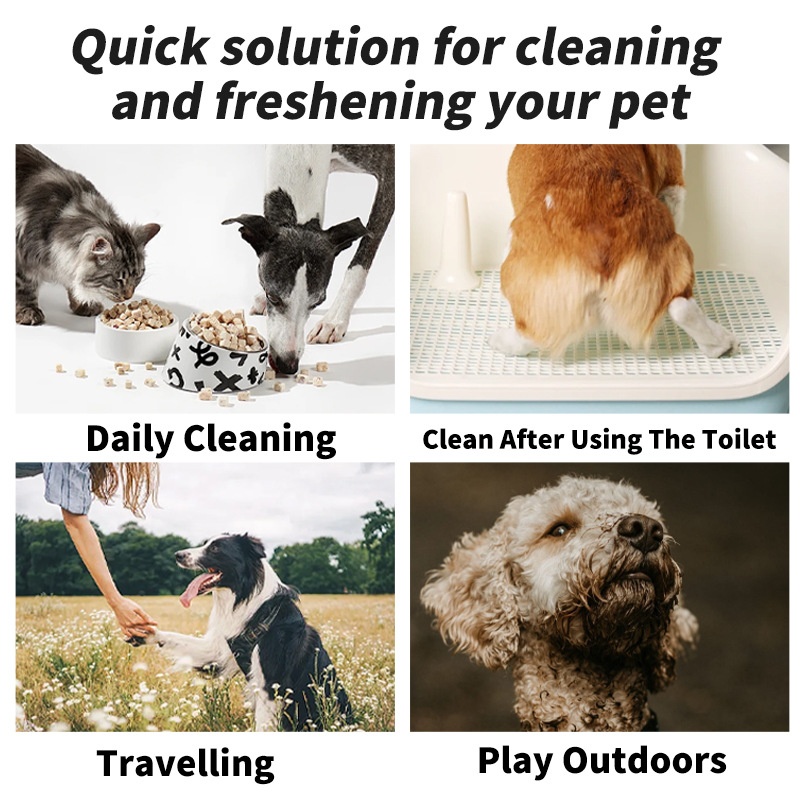 Foreign trade cross-border pet supplies Pet Wipes 80 pumping dog exclusive for cats wipes disposable disposable disposable cleaning