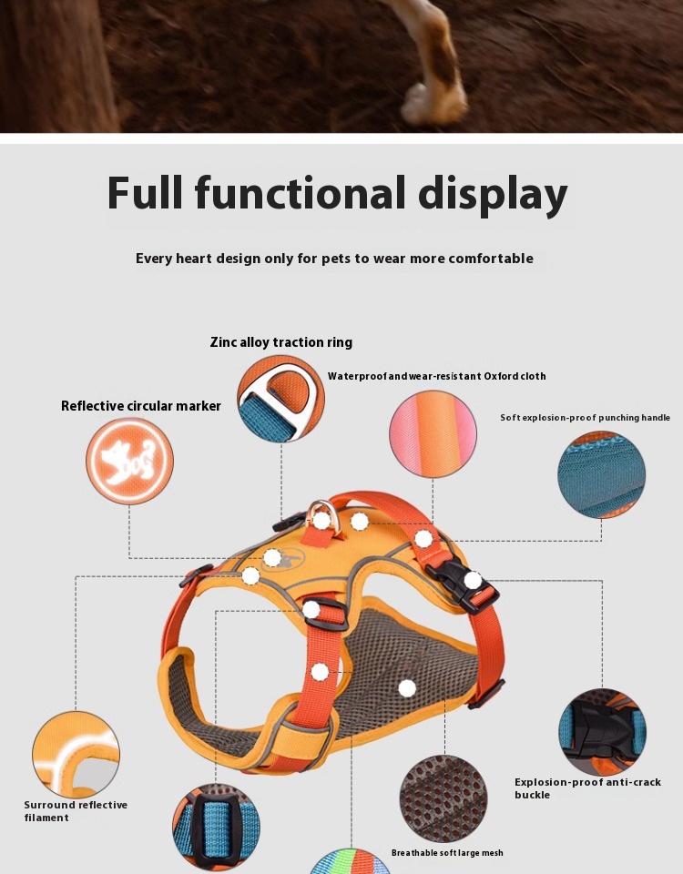 i2aWi/+syNQCDNrwBMfKHA9FqmPUYg2HXAjY