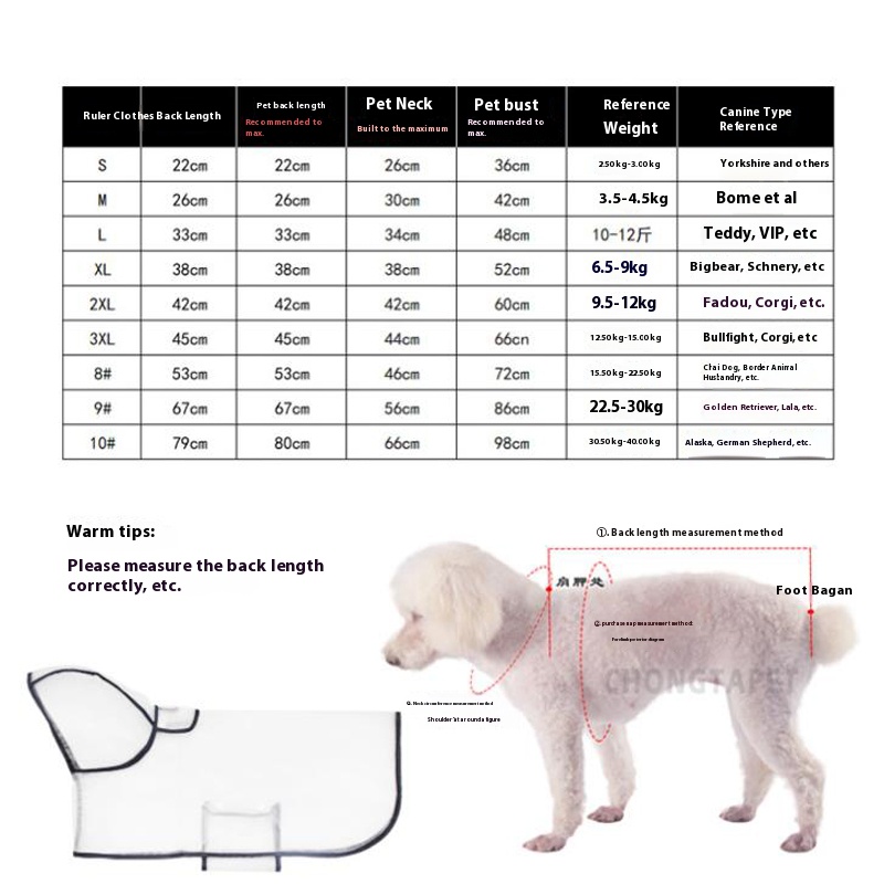 Transparent Waterproof Dog Raincoat for Small and Medium Breeds - Corgi, Teddy, Schnauzer