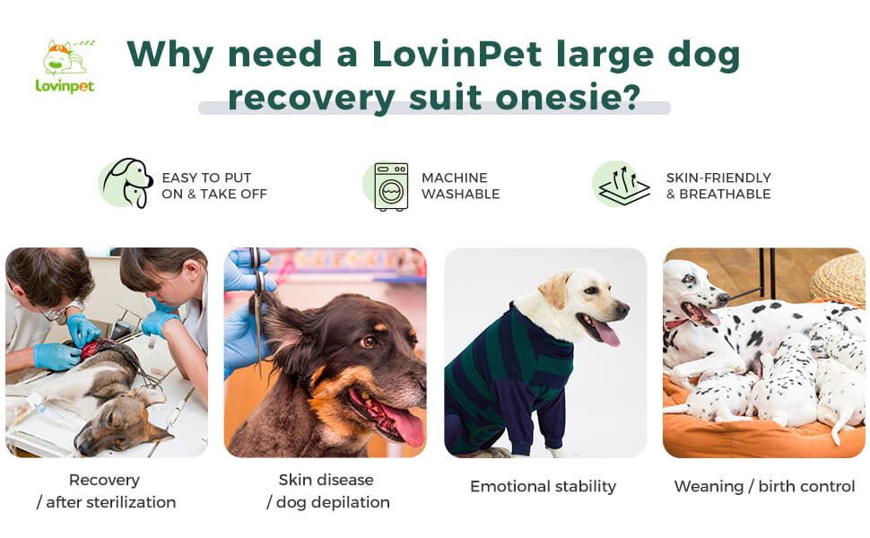 spay suit for female dog surgical suit for male dogs