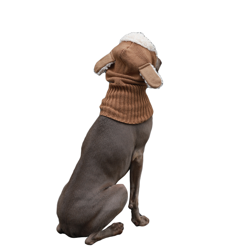 Medium Big Dog Hat Dog hat winter clothing
