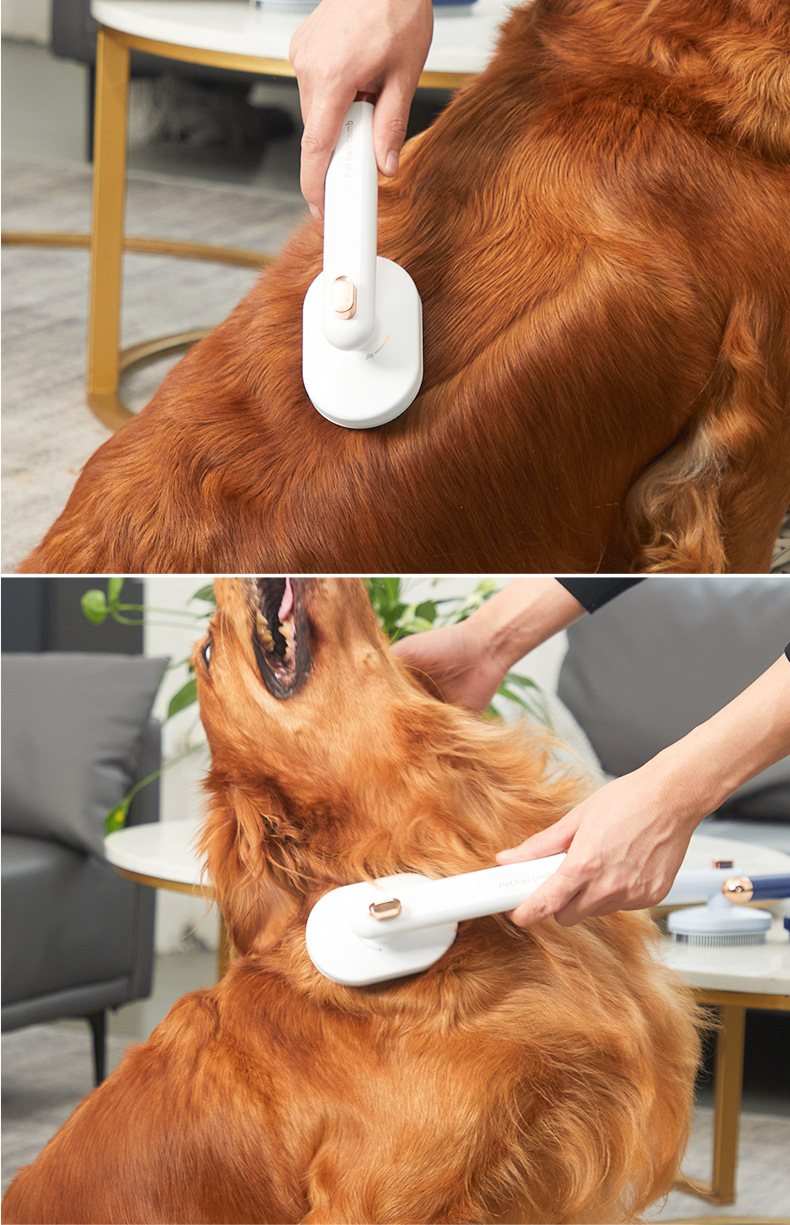 璇︽儏椤礯20.jpg