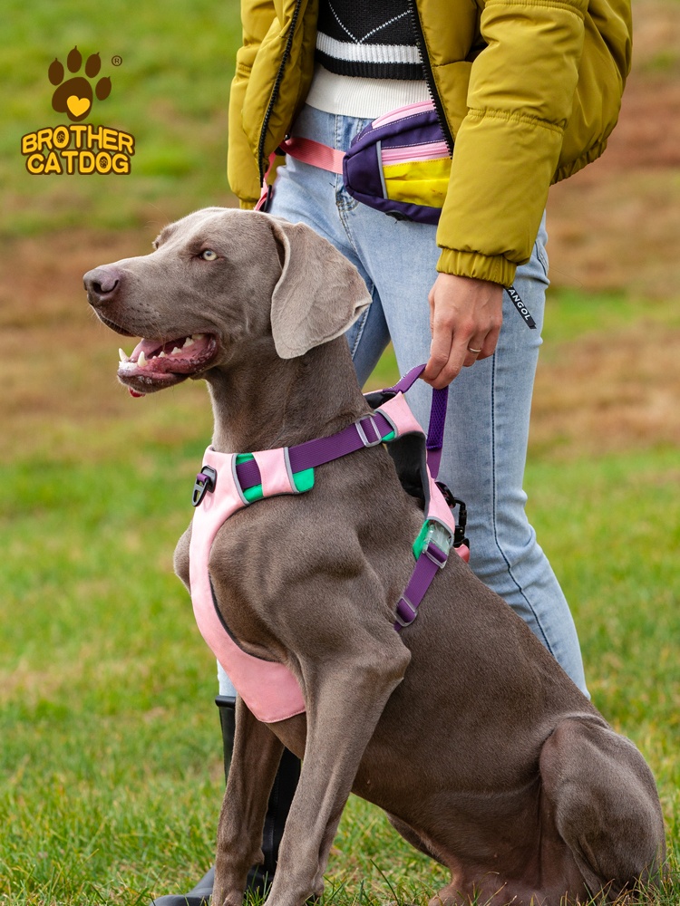 Dog breast strap pet dog hand holding rope explosion-proof strap retractable large dog small dog