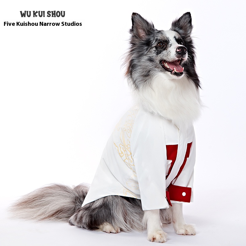 Five Kuaishou dog clothes and coat windproof and rainproof shell jacket border collie medium large dog pet poncho outdoor windbreaker
