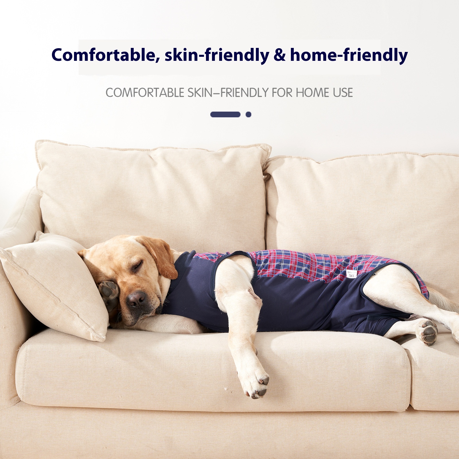 Post-Surgery Recovery Suit | Female Dog Sterilization Gown
