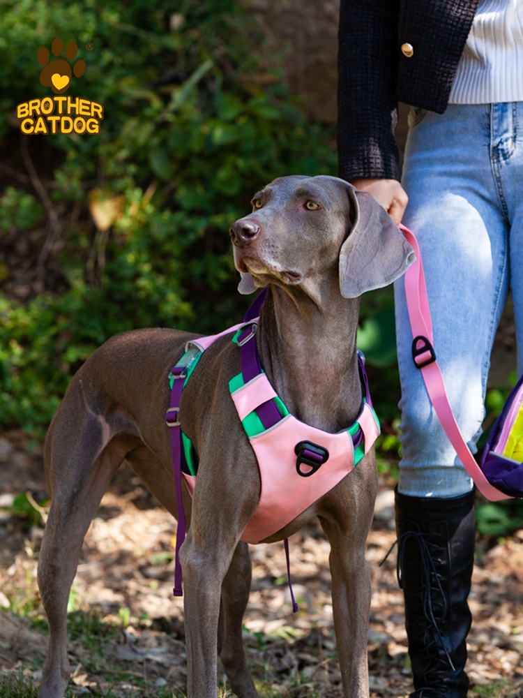 Dog breast strap pet dog hand holding rope explosion-proof strap retractable large dog small dog