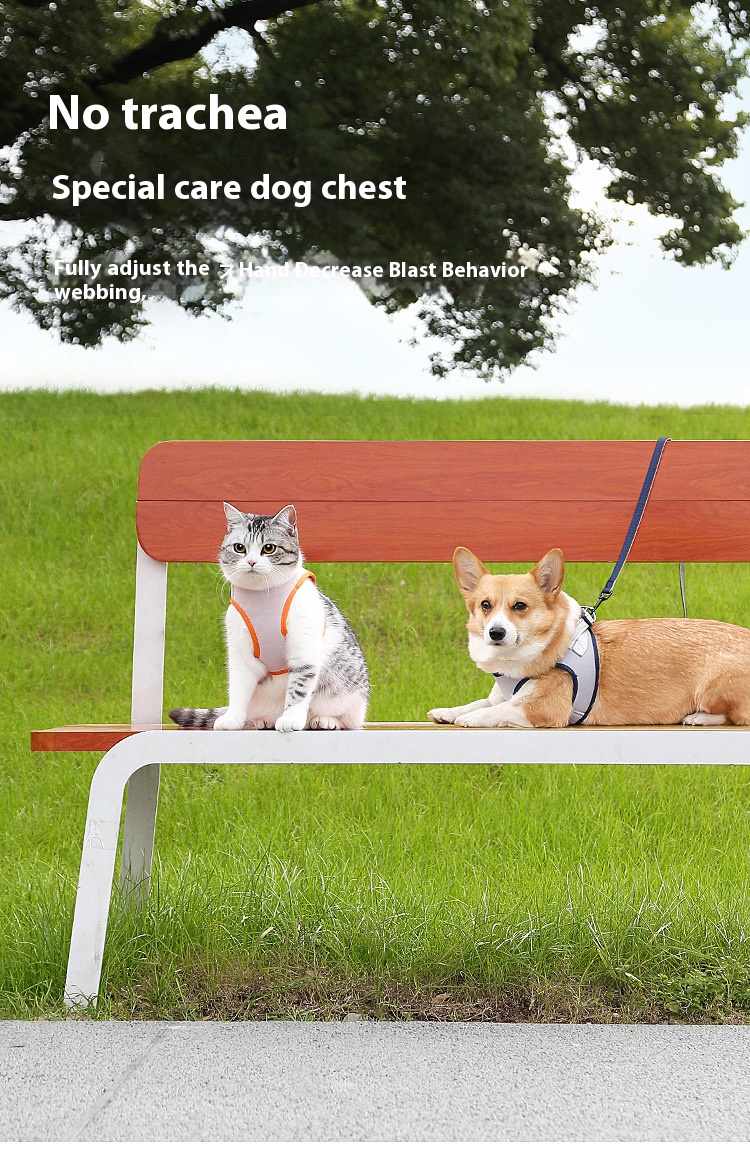 i2aWi/+syNQCDNrwBMfKHAxCqmPQYguBKYAI