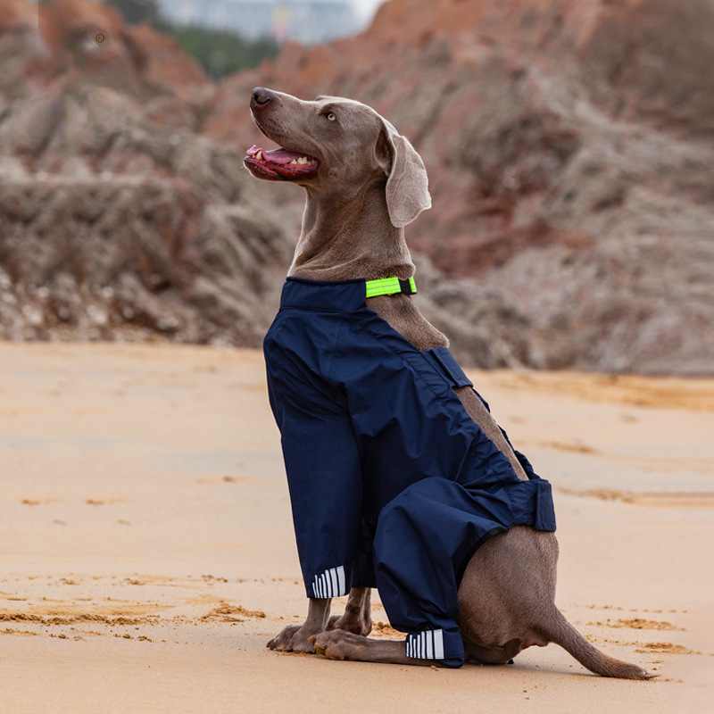 Waterproof Four-Legged Dog Raincoat with Hood - High Quality & Reflective Strip