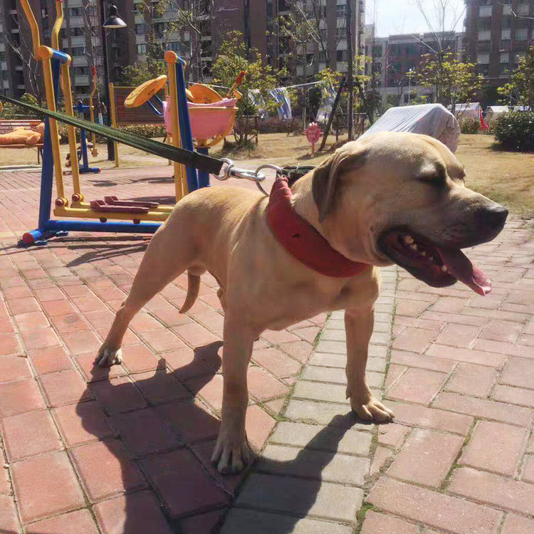 寰俊鍥剧墖_20190515183242