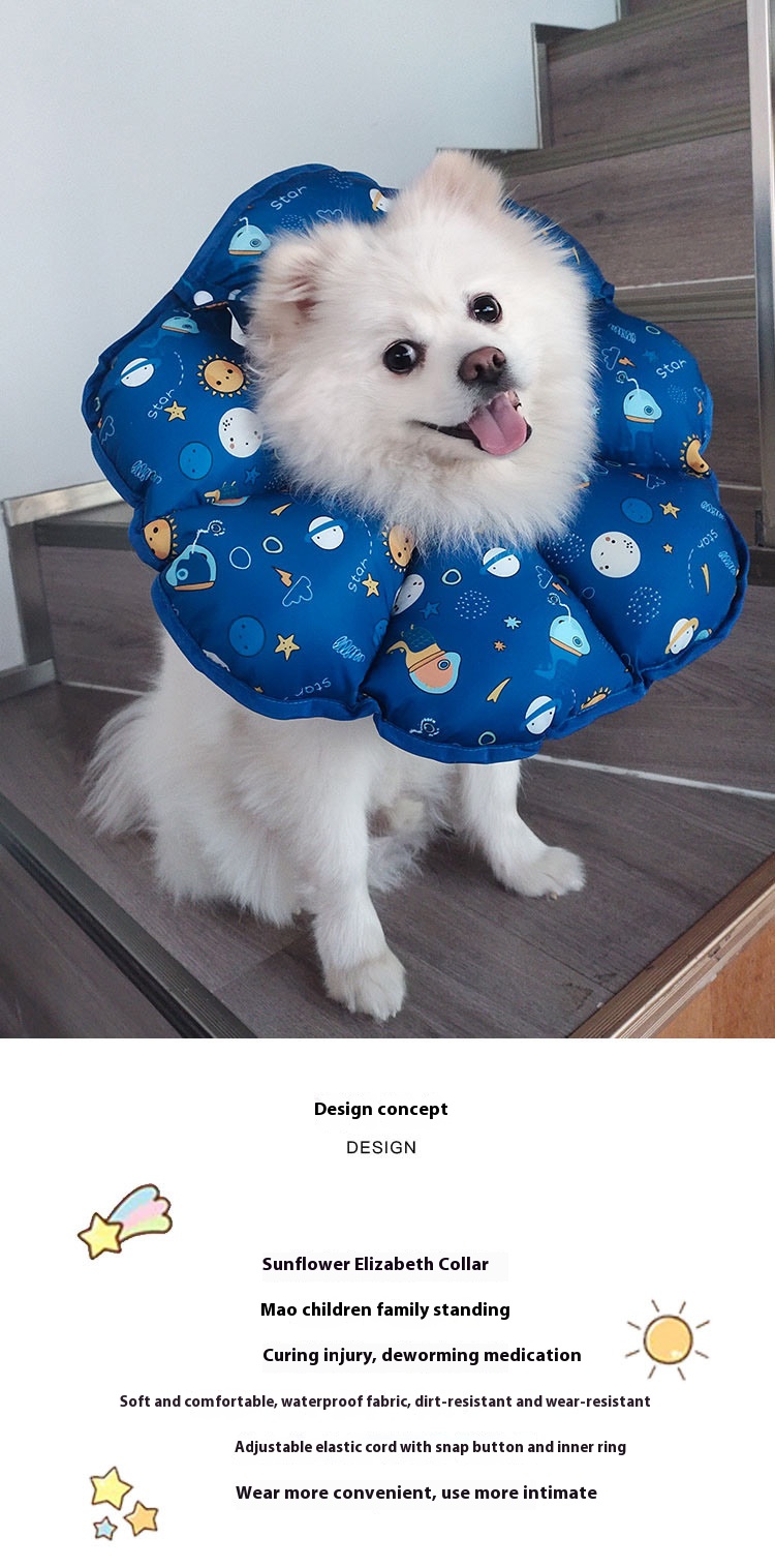 i2aWi/+syNQCDNrwBMfLHAoQJuyETQJW6otx