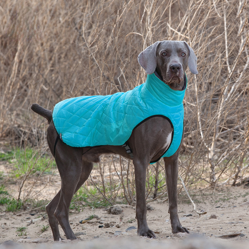 Dog clothes big dog outdoor outdoor anti-injury cold-proof pet clothes thickened & camouflage coat