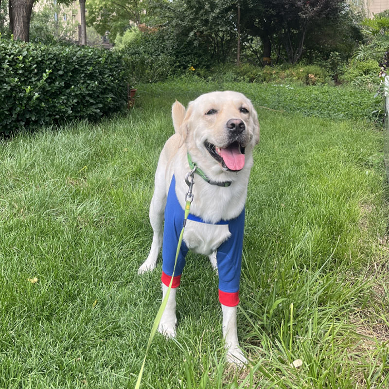 Pet knee pads large dog elbow pads leg knee pads supplies dog elbow pads joint protective cover Labrador