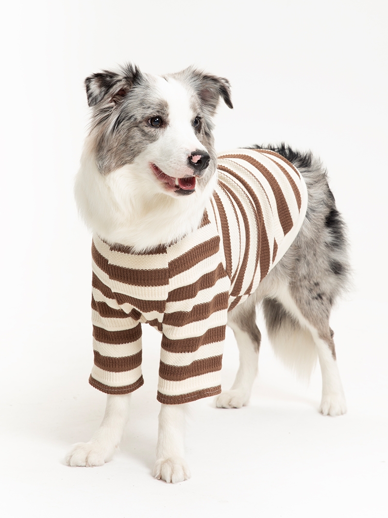 Pet dog clothes medium large dog Labrador border collie golden retriever stripes color contrast bottoming shirt spring and autumn