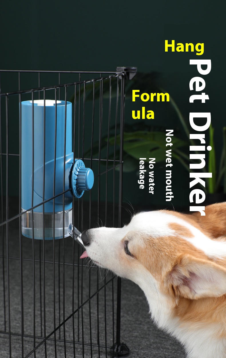 i2aWi/+syNQCDNrwBMfLHAsXJu6ETQZci9Vv