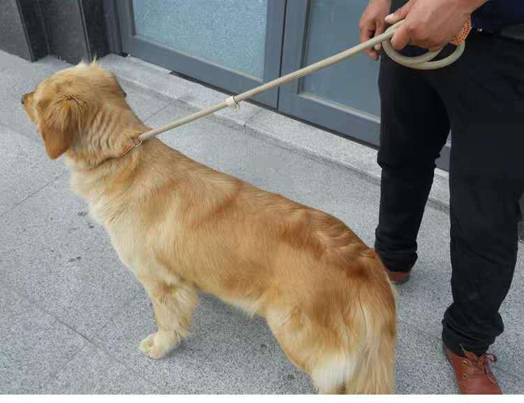 寰俊鍥剧墖_20181226104629