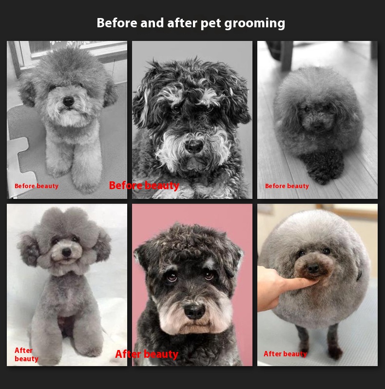 鍙岀粏鐗欒鎯卂r2_c1