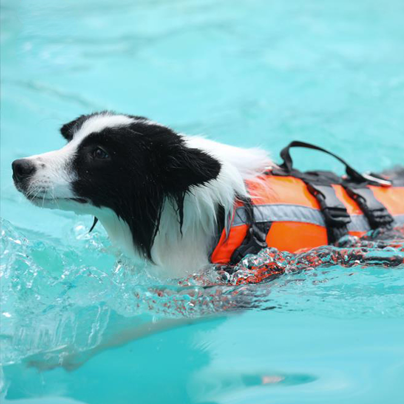 High Buoyancy Reflective Dog Life Jacket for Large Breeds - Anti-Drowning Vest