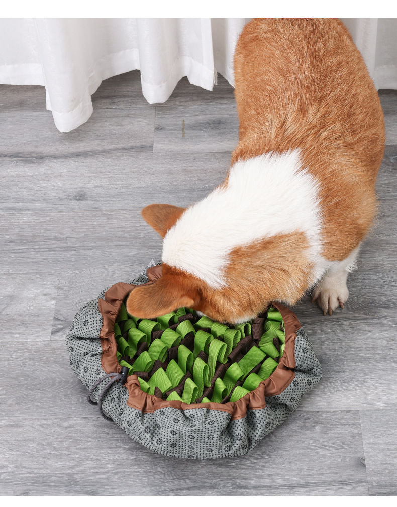 PD50105鍗囩骇鍔犲瘑鑰愬挰鐙楃嫍鍡呴椈纰梍08