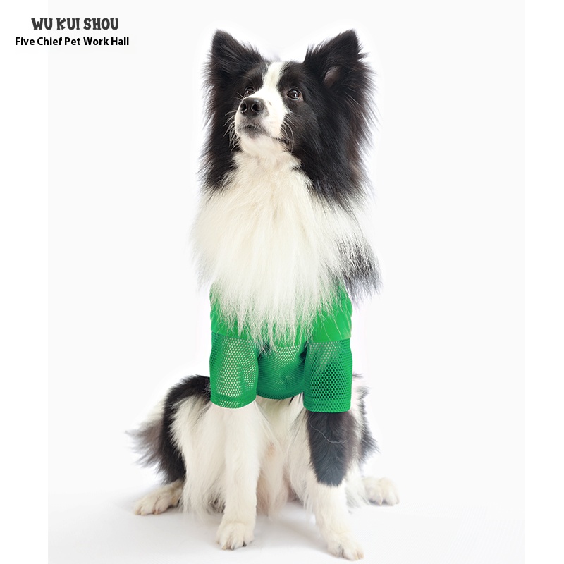 Pet cat dog clothes border collie hairless cat Schnauzer summer mesh T-shirt thin anti-lint