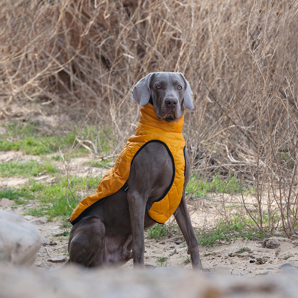 Dog clothes big dog outdoor outdoor anti-injury cold-proof pet clothes thickened & camouflage coat