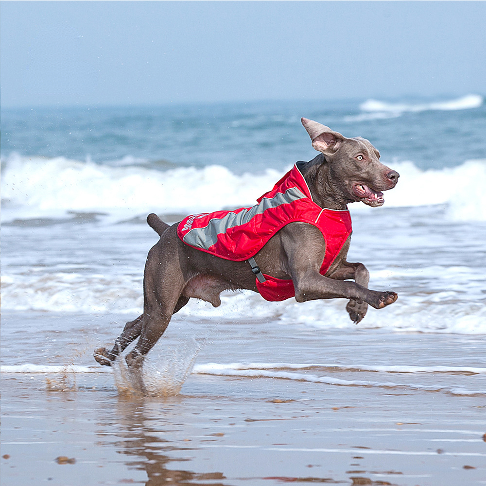 Dog quick-drying shell jacket large pet golden retriever Labrador thin with traction rope ring fluff vest