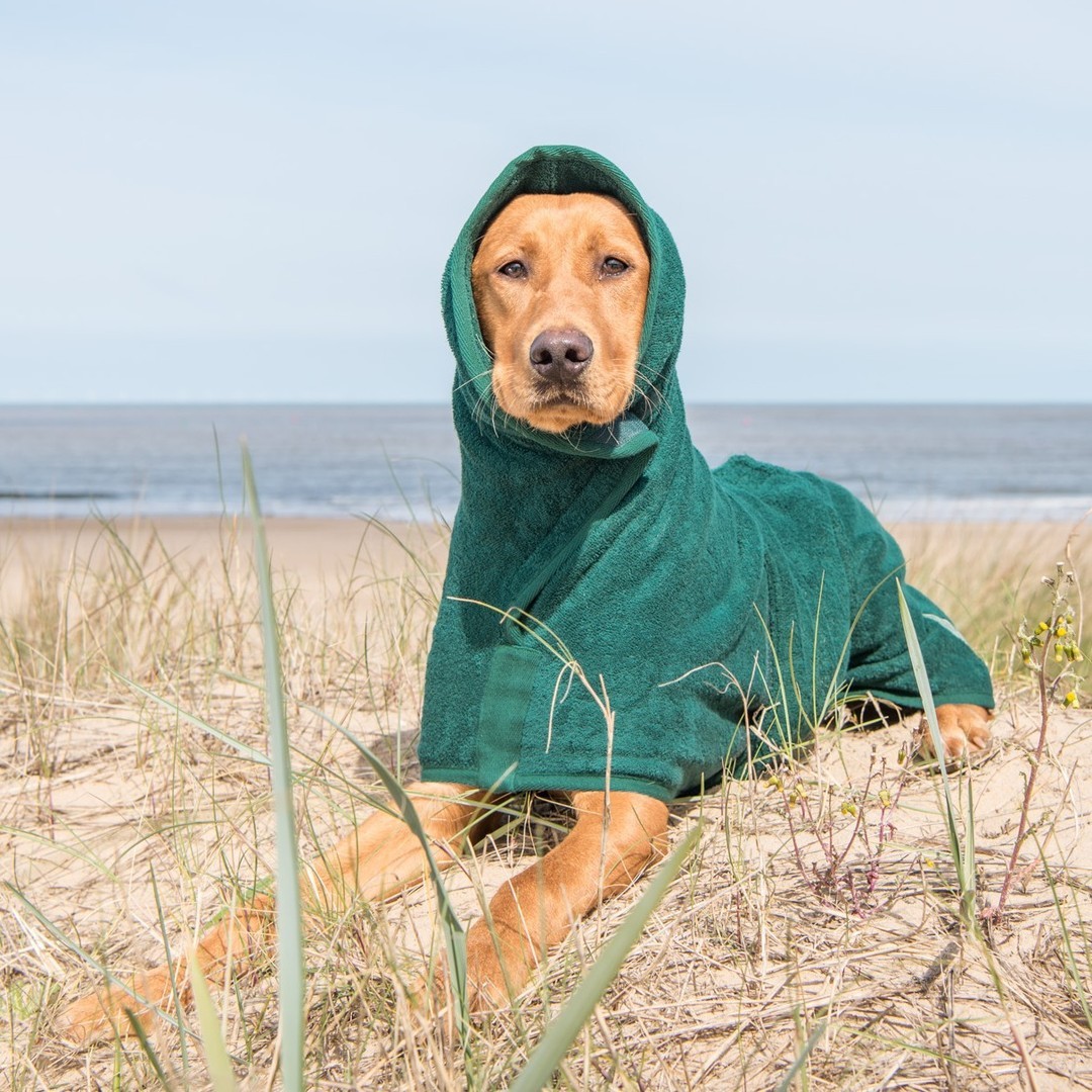 ruffandtumbledogcoats_29576526