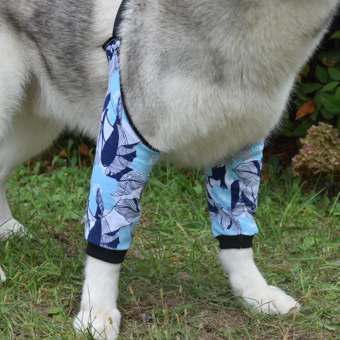 Dog Knee Suit16