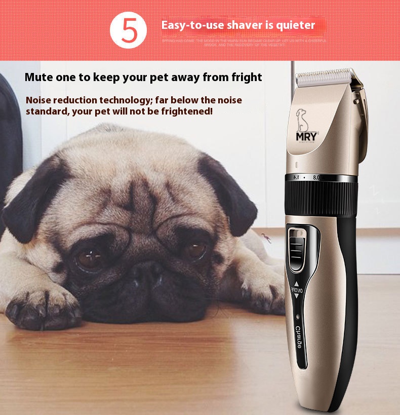 寰俊鍥剧墖_20220504150347