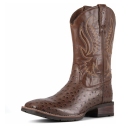 Mocha Full Quill Ostrich