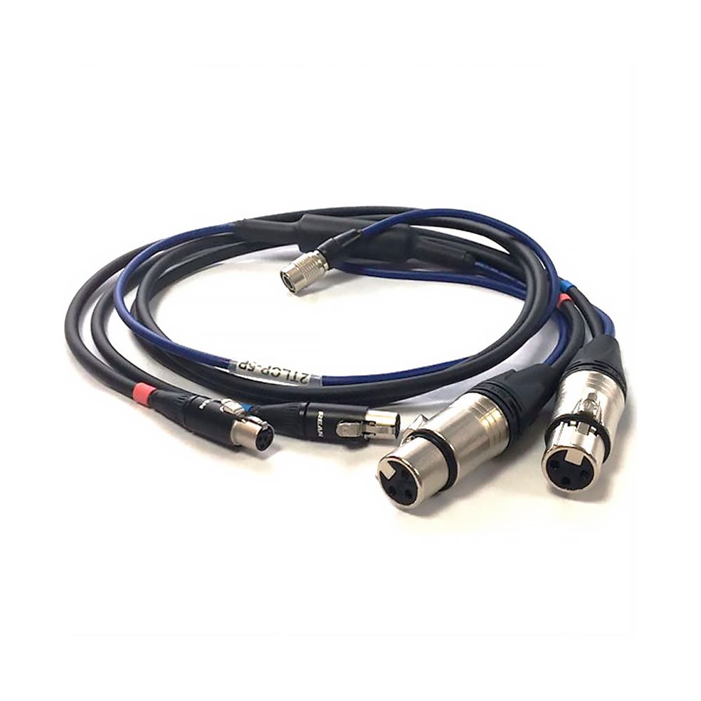 Audio Wireless 2TLCP-5P Double RX Line Input Cable with External Powering