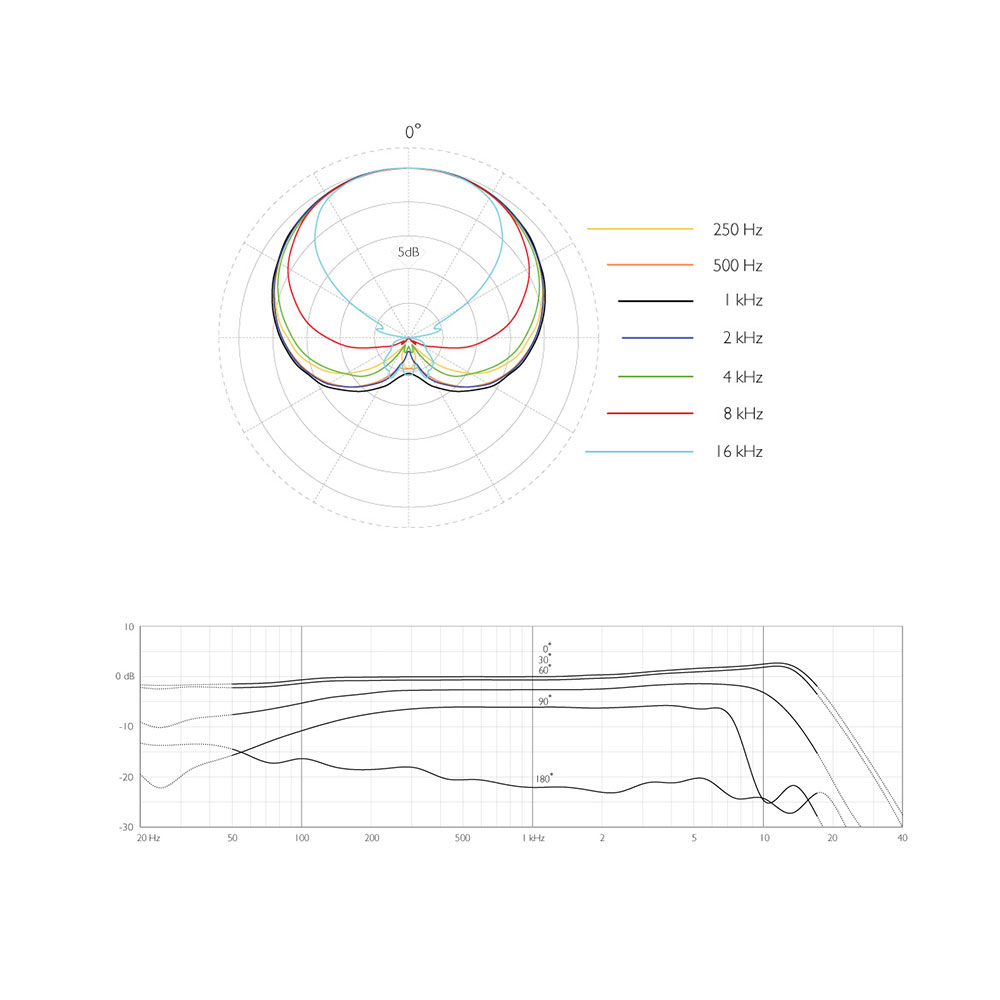 DPA d:dicate 2011C Compact Twin Diaphragm Cardioid Microphone