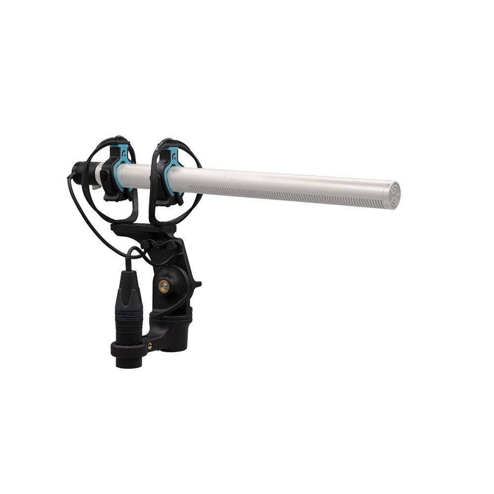 Radius RAD-2 Shock-Mount Exterior Boom-Pinknoise Systems