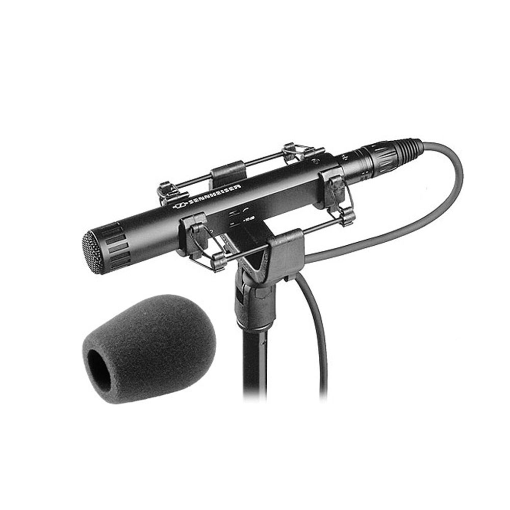 Sennheiser MKH 50-P48 Supercardioid Condenser Microphone