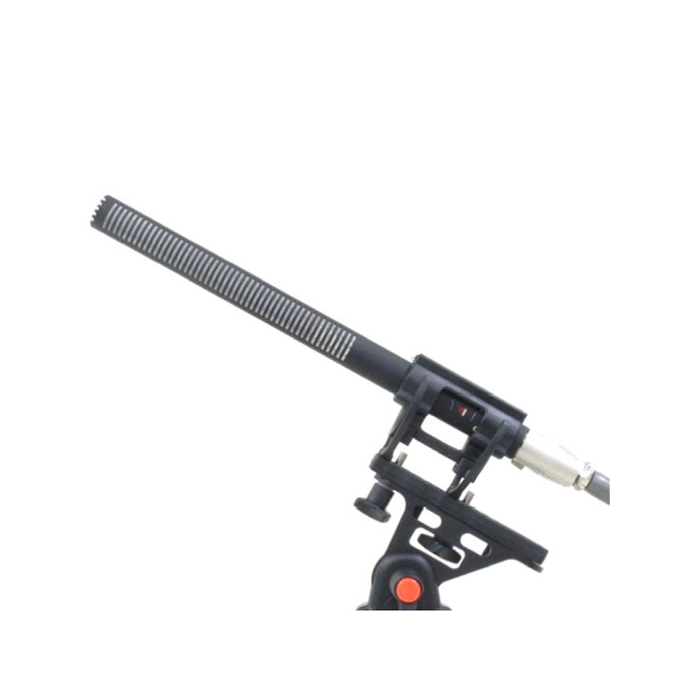 Sanken CS-2 Shotgun Microphone-Pinknoise Systems