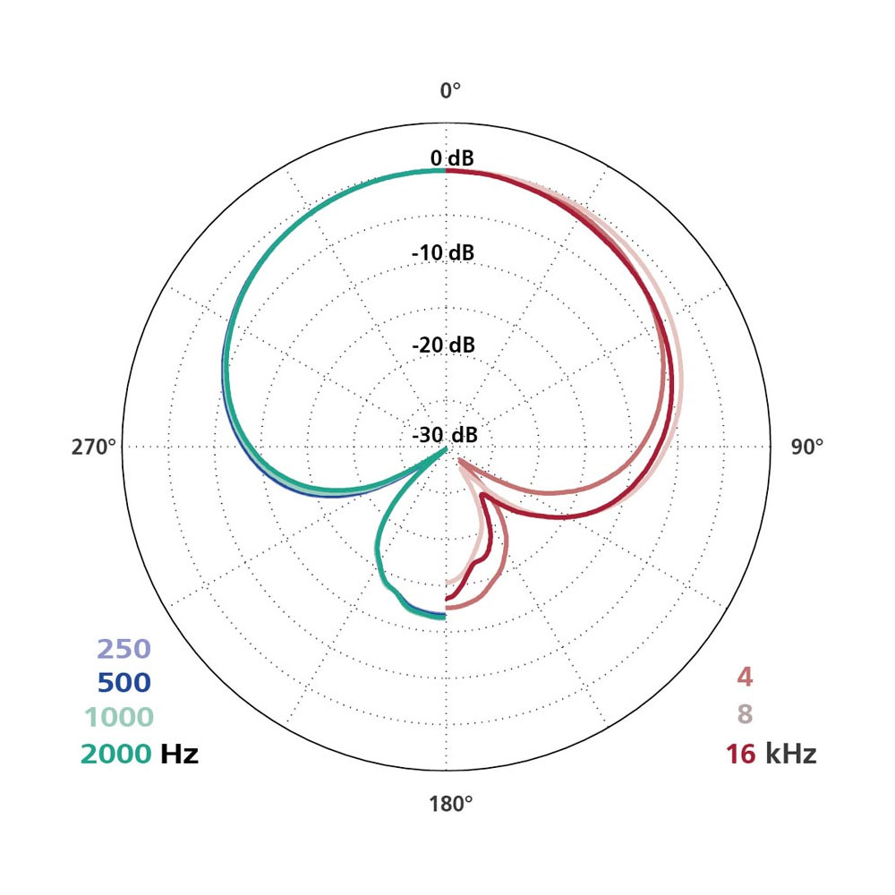 Schoeps MK 41 Supercardioid Capsule-Pinknoise Systems
