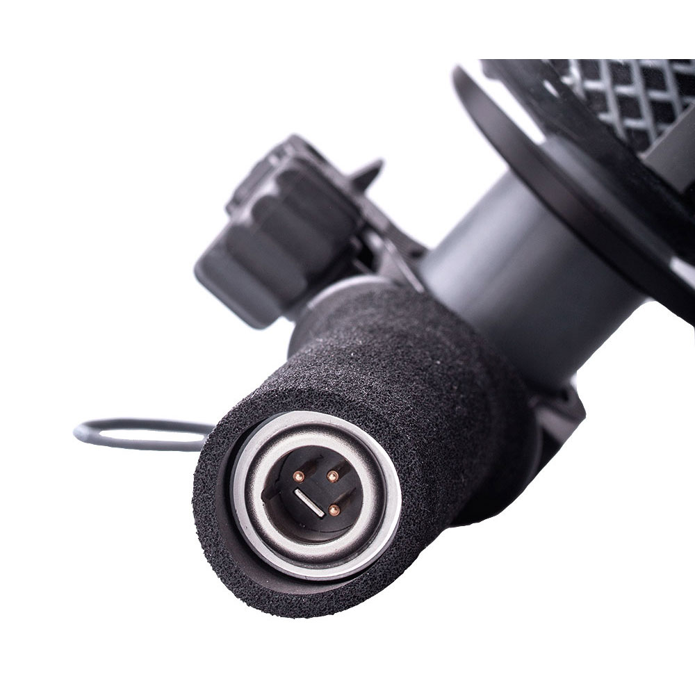 Schoeps Parabolic Dish Sets w/ Dish and Microphone Bundle-Pinknoise Systems