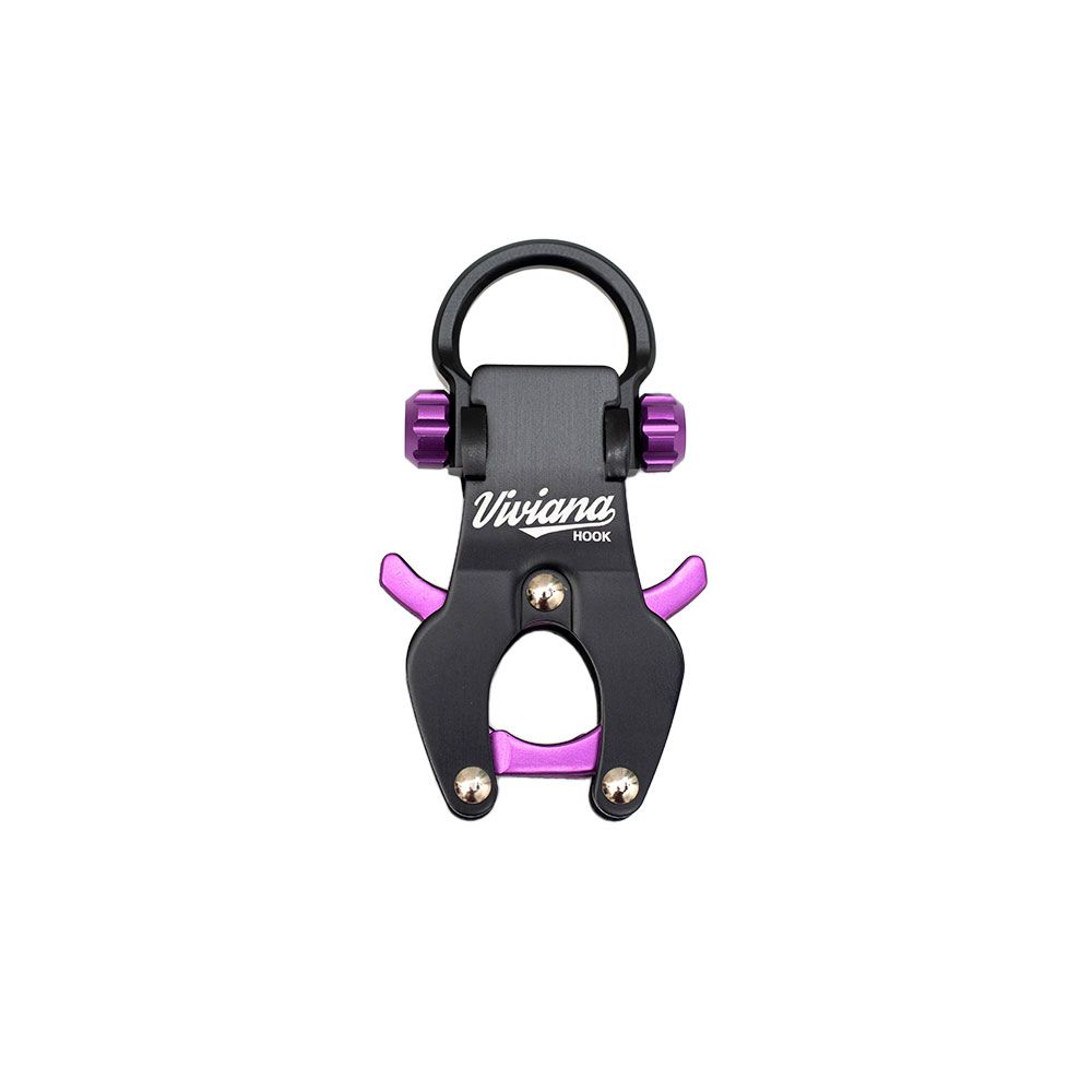 Viviana Hook-Pinknoise Systems