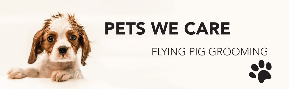 Pets we care flying pig grooming